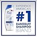 Head and Shoulders Classic Clean Anti-Dandruff Shampoo 8.45 Fl Oz
