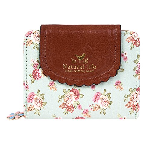 Damara Damen Multifunktionale Geblümt Geldbörse,Hellgrün