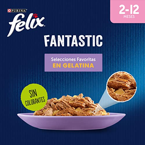Felix Fantastic Nassfutter für Junior-Katzen, Gelee, Sortiment aus Ochse, Lachs, Huhn und Thunfisch, 12 Packungen mit 4 Beuteln à 85 g (48 Umschläge)