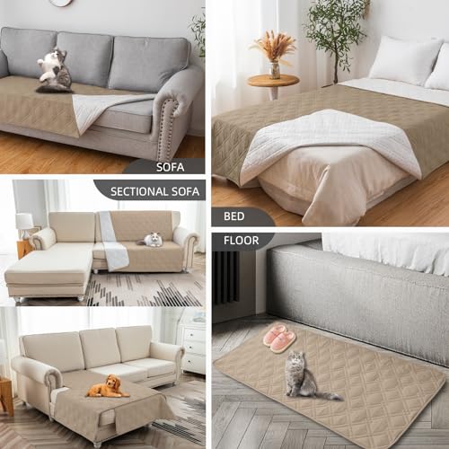Camas para Perro, Video On Demand Imagen adicional