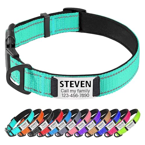 TagME Personalized Dog Collar with Name Plate, Custom Reflective Pet Collars with Engraved Slide on ID Tags for Medium Dogs,Teal