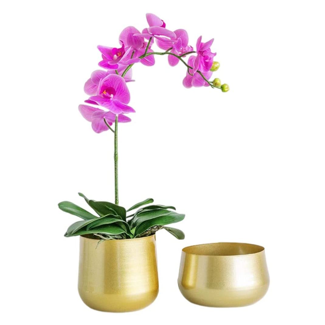 Monetais 2Pcs Gold Plant Pot Metal Flower Pots Brass Garden Planters Round Containers With Drainage Hole