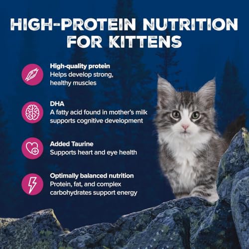 Image of Blue Buffalo Wilderness High Protein, Grain Free Wet Kitten Food, Salmon Pate, 3oz Cans, 4-Count Multipack