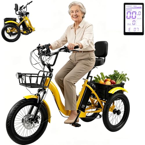 18 Pollici Triciclo Bici Pieghevole Elettrica A 3 Ruote...