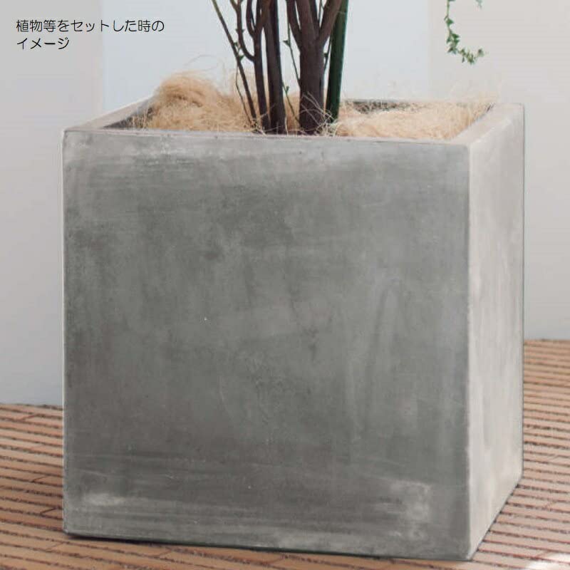 Amazon.co.jp: 花・観葉植物用ポット コンカー キューブ M 45/C（1個