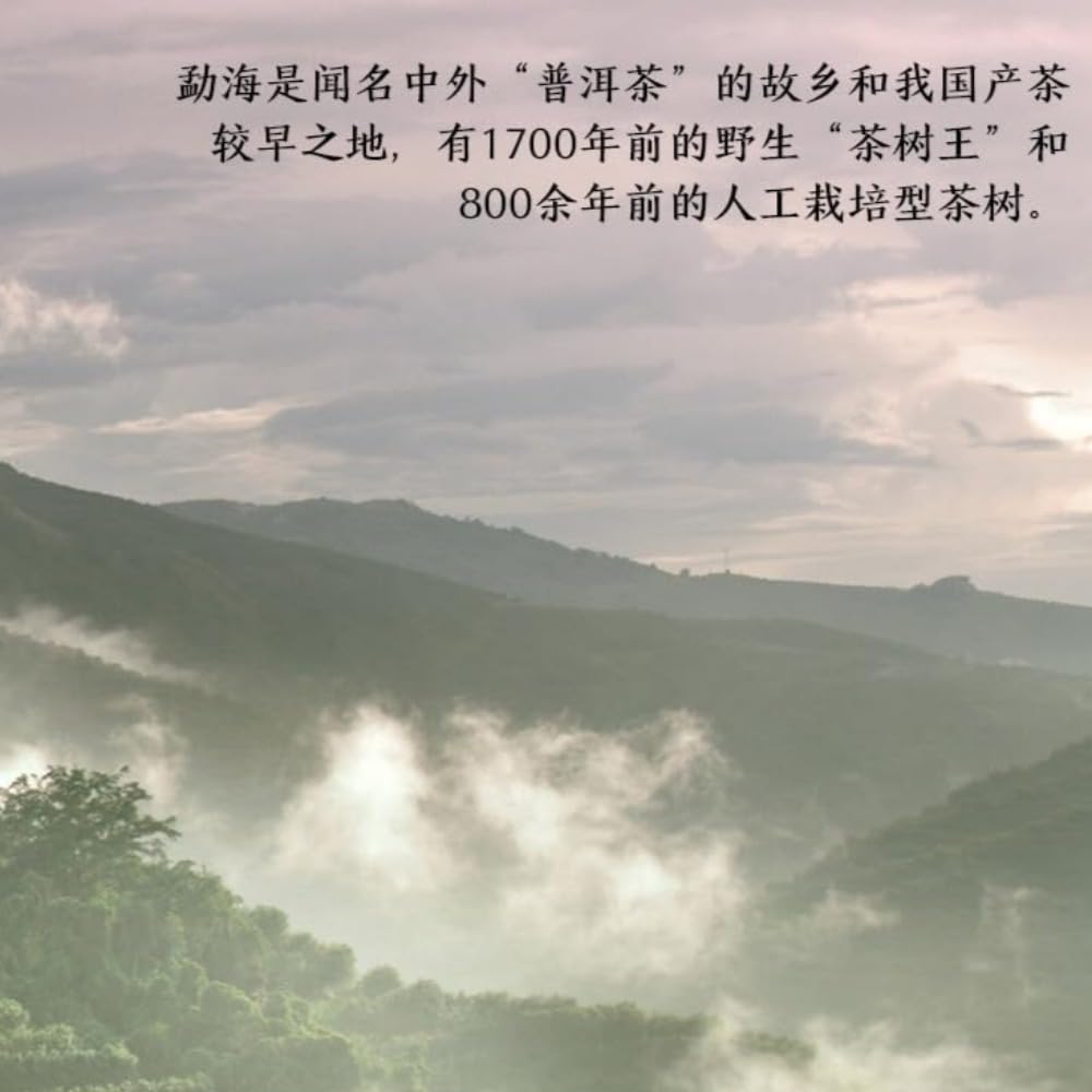 357g Yunnan Premium Pu - Erh Surowa Herbata, Chińska Pamiątka Zodiaku Herbata Pu 'Erh - Wybór Jakości