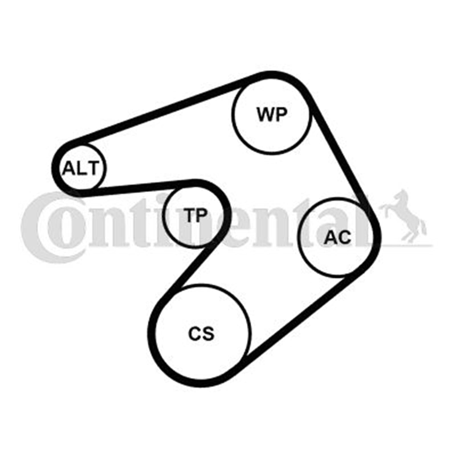 Contitech 6PK1205K1 Riemenzubehör-Set