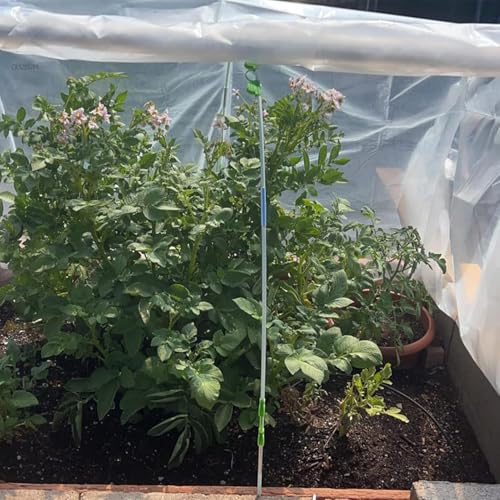 Película de invernadero para proteger los vegetales al aire libre en el patio o porche 3