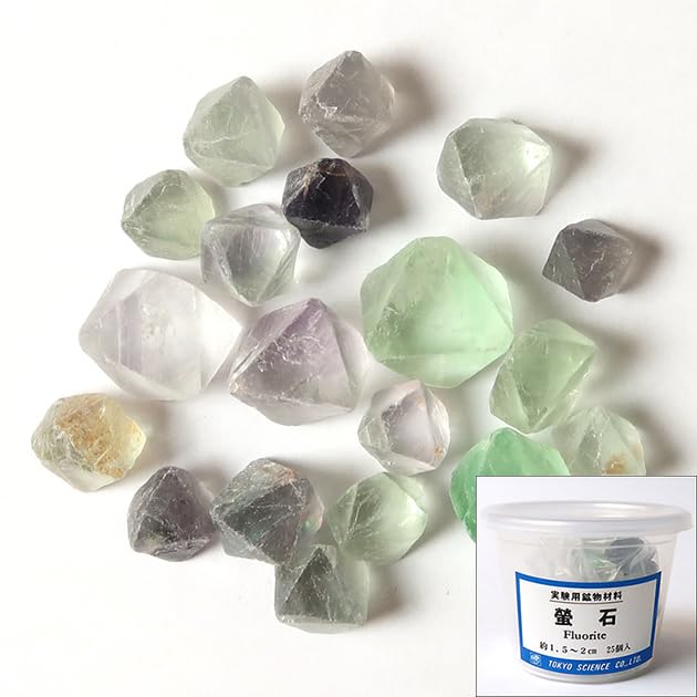 天然石^ - ^ノ Amazon | SCIENCE 鉱物標本 実験・体験シリーズ 天才の石 「蛍石