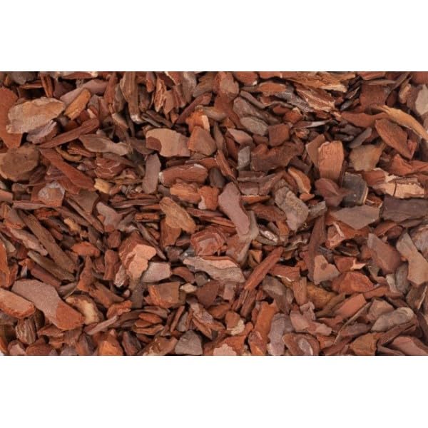Corteza Decorativa de Pino - Natural - Pack de Cinco Kg