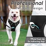 Eagloo B075FRGCT1 lato 3