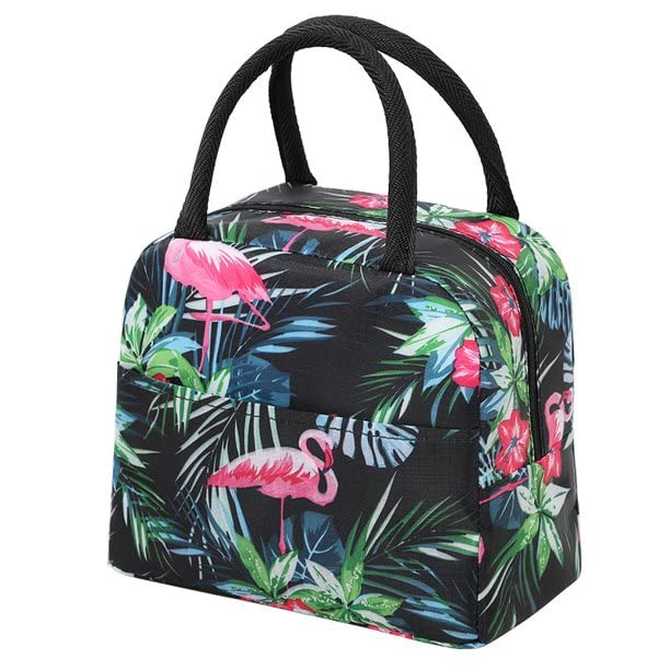 BuenoVida Insulated Lunch Bag, Travel Lunch Storage Bag for Office, College & School, Tiffin Bag, Food Picnic Lunch Bags for Kids, Lunch Bag for Women, Girls, Mens, Tote Bags (B0BVVCCZ8V) Amazon Price History, Amazon Price Tracker