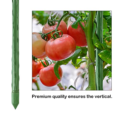Feed Garden Garden Stakes 36 Inch 3Ft 25 Pack, Sturdy Plant Metal Sticks Support, Plastic Coated Plant Stakes, Tomato Stakes, Beans, Trees #TOP2