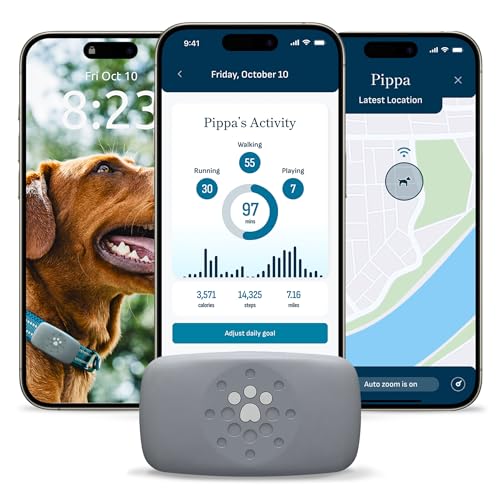 Petivity Smart GPS and Activity Pet Tracker for Dogs Powered by Purina, Waterproof Real Time Tracking GPS Dog Collar, Downloadable App, Subscription Required