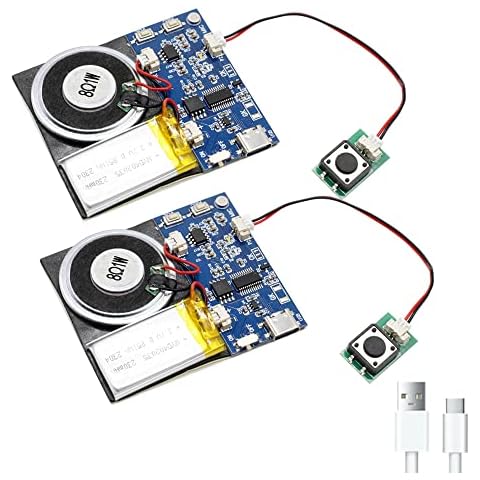 XLW 16MB Sound Module Cover