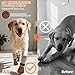 EXPAWLORER Anti Slip Dog Socks to Prevent Licking Paws, Winter Snow Dog Boots & Paw Protectors Booties for Hardwood Floors with Heart Grippers, Dog Shoes for Small Medium Large Senior Dogs Khaki S