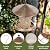 Bird Feeder for Outdoor Hanging, Metal Bird Feeders for Outside Hanging, 4 Lb Large Capacity Birdfeeder to Attracting Birds
