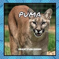 Puma: Wildlife Books for Kids (Wildlife book for young children) B0D8LH9HGW Book Cover