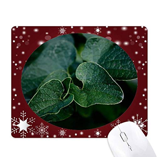 Tapis de souris plante à feuilles sombres décor d'hiver pour bureau