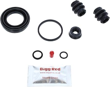Rear Brake Caliper Repair Kit - BRK204101S