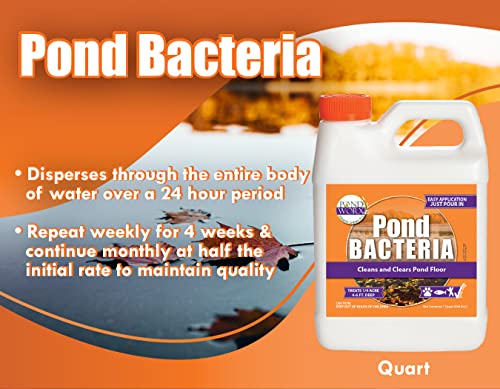 Image of Pond Worx Pond Bacteria - Concentrated & Formulated for Large Ponds, Water Features - Safe for Koi - 32 Ounces & Treats up to a Quarter Acre Pond (Pack of 2)