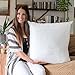 Foamily Throw Pillow Insert 26 x 26 inch Hypoallergenic Made in USA Euro Sham 100% Virgin Fiber Bed, Sofa, Couch Decorative Indoor Pillows