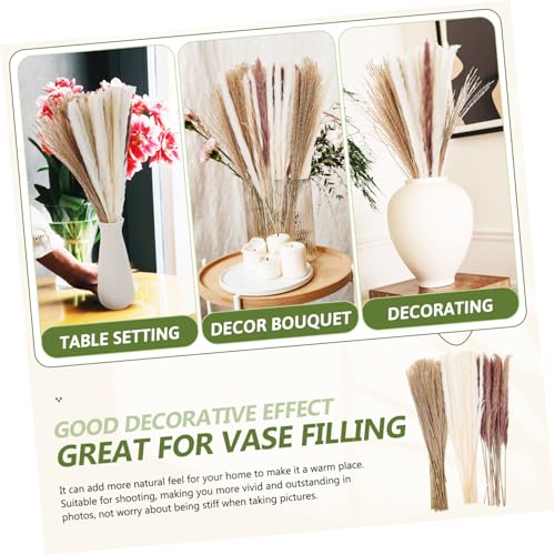 Ciieeo 120 Peças Flores De Junco Secas Da Fazenda Grama Seca Para Vaso De Mesa Palheta Rabo De Coelh