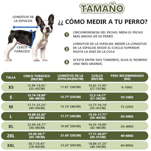 Chaleco de Protección 11 Imagen adicional