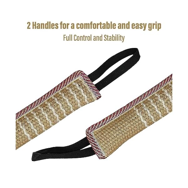 Puppy Training Fun Pillow