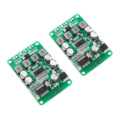 2PCS TPA3110 �f�W�^���A���v�{�[�h �X�e���I���W���[��