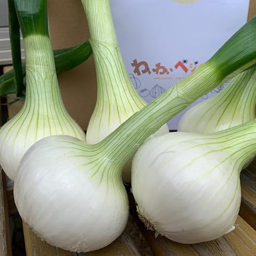 春の訪れ 淡路島の新たまねぎ(2kg)◆配送2月〜5月下旬