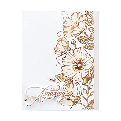 Spellbinders Sweet Blooms Border by Becca Feeken Glimmer Hot Foil Plate Set, Metal, 5.5 inches by 2.32 inches - Image 3