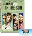 A Raisin in the Sun