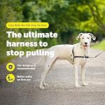 PetSafe Easy Walk No-Pull Dog Harness - Ultimate Harness to Help Stop Pulling - Pull-Free Walks - Take Control & Teach Better Leash Manners - Patented Martingale Loop Design - Gray, Medium/Large - Image 2