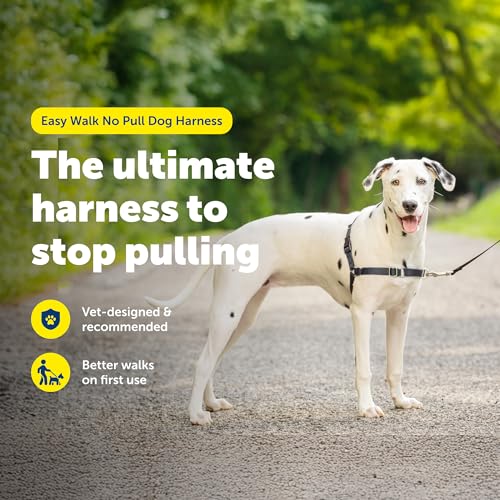 PetSafe Easy Walk Hundegeschirr, kein Ziehen, perfekt für Leinen- und Geschirr-Training, verhindert, DASS Haustiere bei Spaziergängen ziehen und ersticken – Größe M/L, Anthrazit/Schwarz