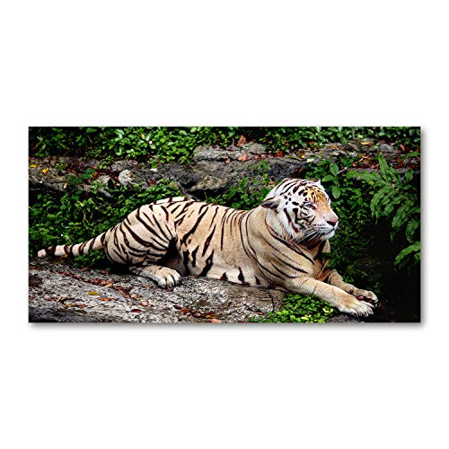 Dosseret en verre 100x50cm fond de hotte anti-projections motif tigre beige Tulup
