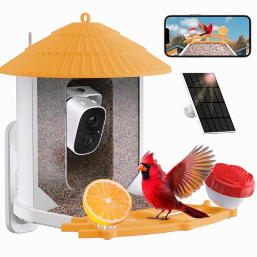 VUQ Smart Bird Feeder with Camera, AI Bird Species Identification, 5W Solar Panel, 2K HD Video Live Stream Camera, Full Color Night Vision, Auto-Capture, Instant Arrival Alerts, Orange