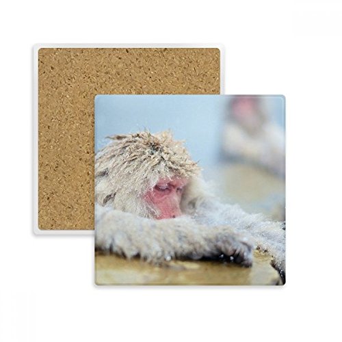 Tasse Coaster Porte de Pierre Absorbent Animal Singe Multicolor Cadeau - 2