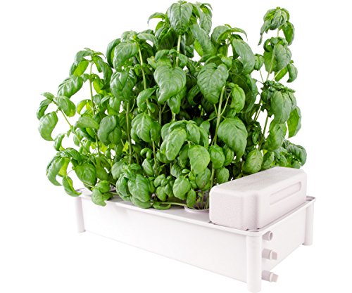 Hydrofarm GCSB Box Kit Hydroponic Salad Garden - Thumbnail 4