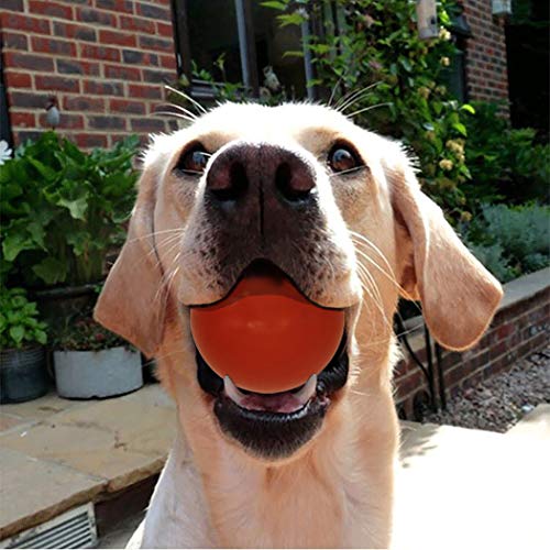 Sunglow-Durable-Dog-Ball-for-Chewing-TrainingTough-Indestructible-Dog-chew-Toy-BallSolid-Rubber-Bouncy-BallCleans-Your-Dogs-Teeth-Improves-Mental-Health