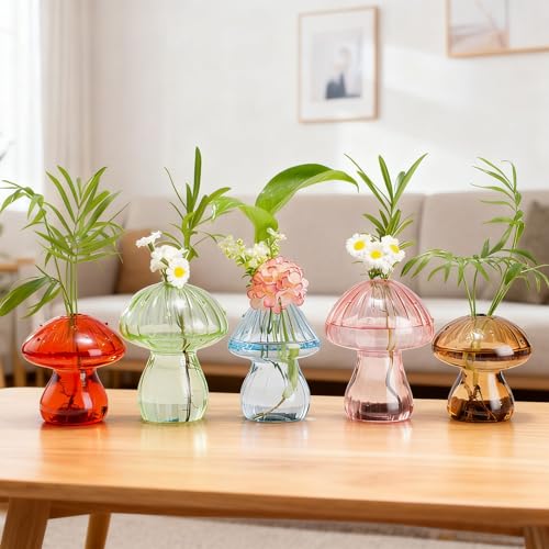Terrarios de cristal para decoración de oficina en casa y salón 6