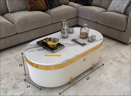 Image of Premium Marble-Top Center Table with One Storage Door and PVD Coated lron Legs and Coffee Table with Oval Design for Living Room and Entryway,42x24x18 Inch, (White and Gold)