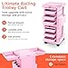 TASALON Professional Salon Trolley Cart, Lockable 6 Trays & 2 Holders, Space Saving Mobile Storage for Hair Salon and Beauty Station​ - Pink