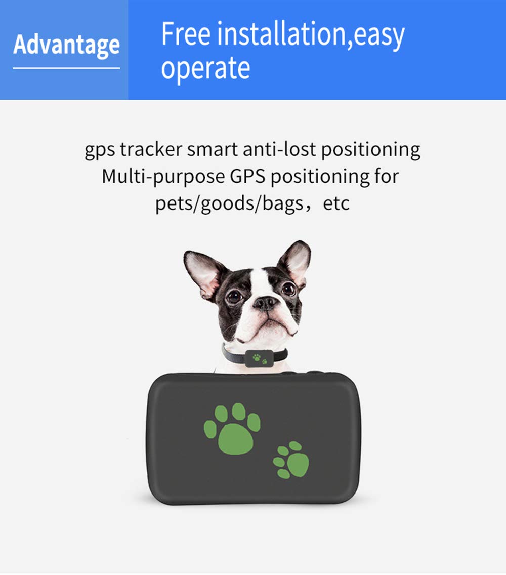 Mini 3G GPS Tracker pour Chien Chat Animal de Compagnie Enfant TK203 localisateur GPS avec GPS/GPRS/GSM Suivi en Temps réel Alarme de Mouvement Portable étanche à la poussière