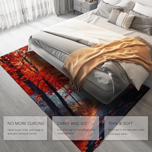 Tapis doux lavable pour salon fini les taches tenaces