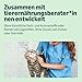 by Amazon Nassfutter für Katzen, Pastete mit Geflügel, 100g, 16er-Pack