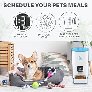 The PawPerfect 6-Liter Automatic feeder for your pet cat and/or dog using an auto dispenser to refill your cat’s or dogs food bowl with dry food on a timed schedule up to 4 times a day