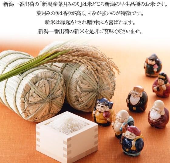 新米 新潟産 令和7年産 葉月みのり 5kg 新潟県産 2025年産