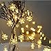 Produktbild Weihnachten Lichterkette Batterie Schneeflocke 2M 10LED Lichterketten für Innen & Außen Weihnachts Lichterkette Fenster Dekoration (C)