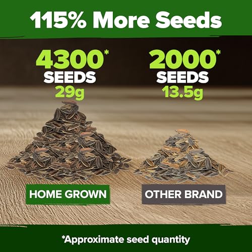 Image of HOME GROWN Envy Zinnia Seeds Bulk Mix | 4,300 Rare Lime Green Annual Flower Seed for Planting | Fast-Growing Premium Garden Companion for 2026 Bloom | Zinnia elegans | 1 oz
